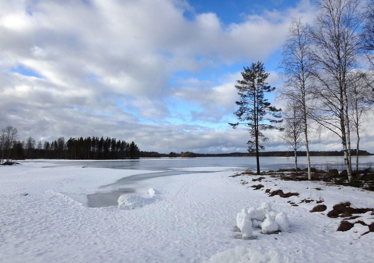Tiiringolf Cottages Nilsiä المظهر الخارجي الصورة
